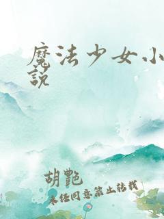 魔法少女小圆小说