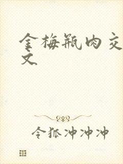 金梅瓶肉交白话文