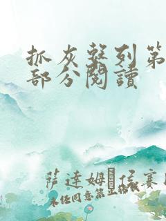 抓灰系列第33部分阅读