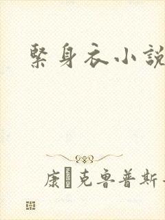 紧身衣小说