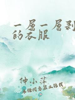 一层一层剥掉你的衣服