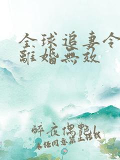 全球追妻令老婆离婚无效