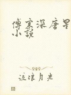 傅寒深唐星挽的小说