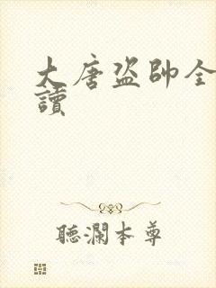 大唐盗帅全文阅读