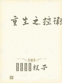 重生之控卫之王