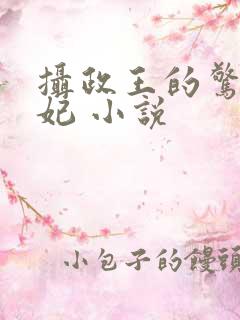 摄政王的惊世嫡妃 小说