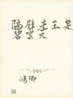 隔壁老王是皇帝碧云天