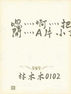 嗯灬啊灬把腿张开灬A片小说