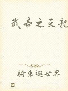 武帝之天龙八部