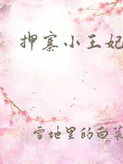 押寨小王妃