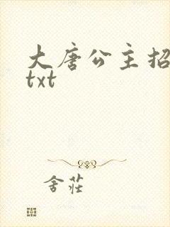 大唐公主招亲记txt