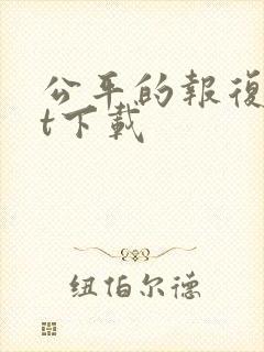 公平的报复txt下载