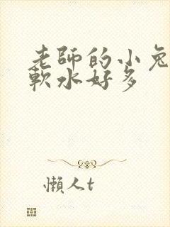 老师的小兔子好软水好多