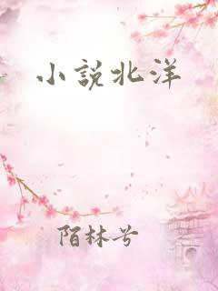 小说北洋