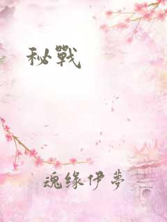 秘战