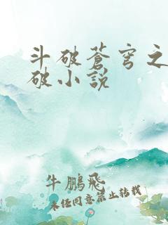 斗破苍穹之虚空破小说