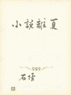 小说离夏