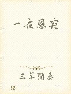 一夜恩宠