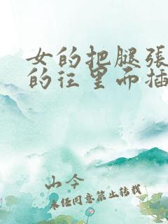 女的把腿张开男的往里面插