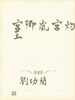 宫卿岚宫灼摄政王