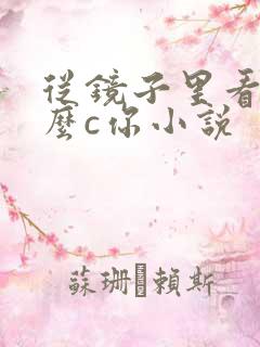 从镜子里看我怎么c你小说