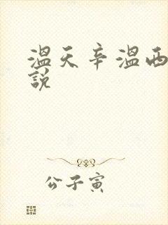 温天辛温西离小说