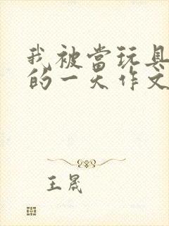 我被当玩具发泄的一天作文