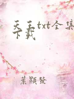 天王txt全集下载