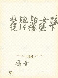 双胞胎女孩双双从14楼坠下