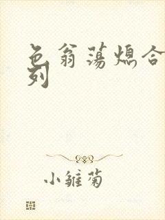 色翁荡熄合集系列