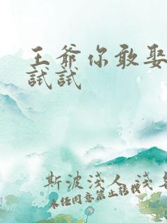 王爷你敢娶小三试试