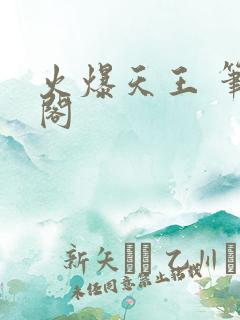 火爆天王 笔趣阁