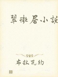 翠微居小说
