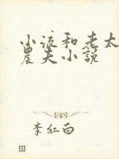 小流和老太69农夫小说