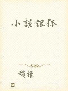 小说银狐