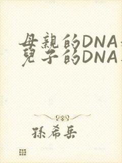 母亲的DNA和儿子的DNA是一样的吗