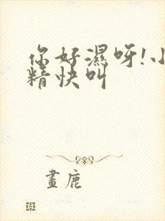 你好湿呀!小妖精快叫