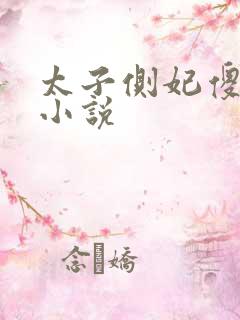 太子侧妃傻乎乎小说