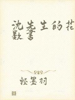 沈先生的花式调数书