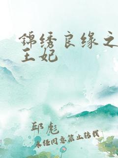 锦绣良缘之北地王妃