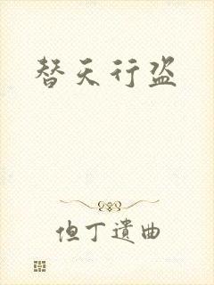 替天行盗