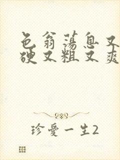 色翁荡息又大又硬又粗又爽