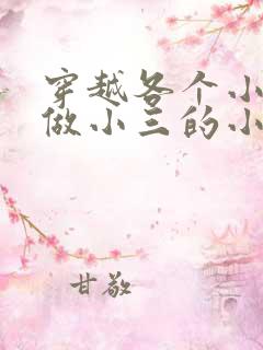 穿越各个小世界做小三的小说