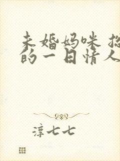 未婚妈咪 总裁的一日情人