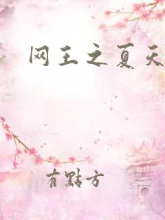 网王之夏天