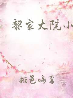 黎家大院小说