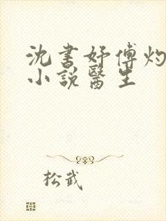 沈书妤傅灼抖音小说医生