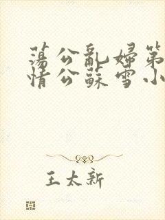 荡公乱妇第1章情公苏雪小说