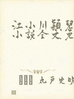 江小川颖儿穿越小说全文免费阅读