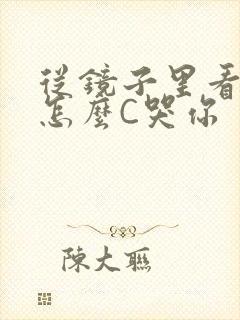 从镜子里看我是怎么C哭你